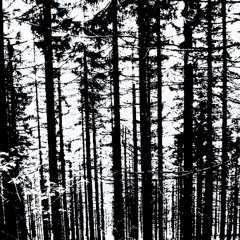 VOIDEATER//AlSweatman - FREE FROM THE FLESH