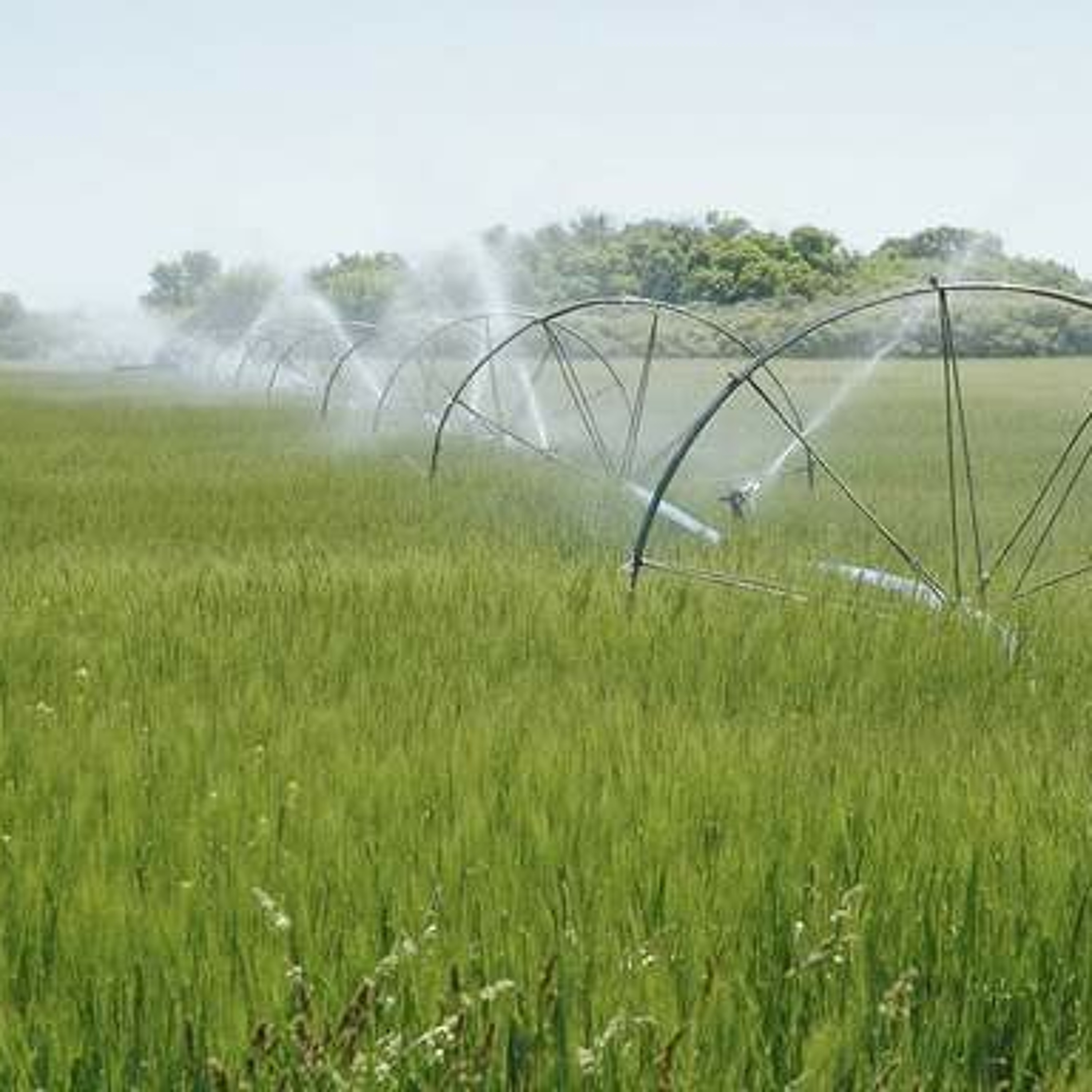 Investment firm plans to spend $300 million on farmland. Ag minute for Aug. 21, 2015 episode artwork
