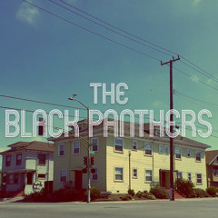 The Black Panthers