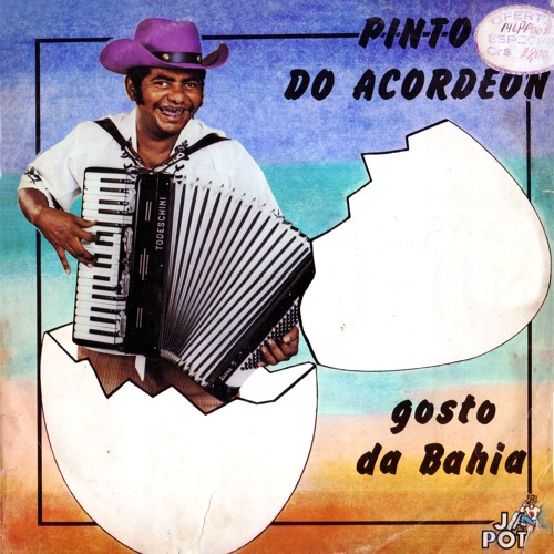 Não quero ver você sofrer - Pinto do Acordeon