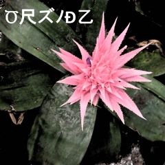 Pillus (Goodbyes LP)