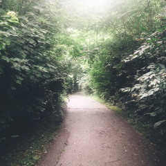 Été 2k15