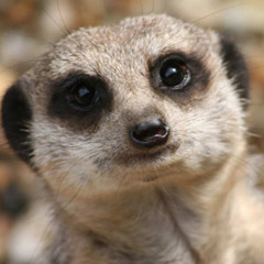 Feelin Some Tpeaway (i werent reeeaaadddyyyy swear down i werent)