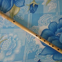 Người Đến Từ Triều Châu