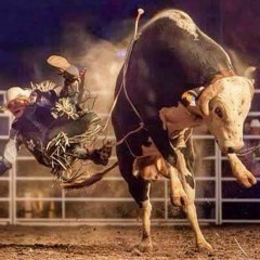 Conjunto nube- el capitan 2015 huapango