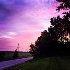 Bear in the big sad house