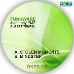 Funkware feat Albert Tempel - Mindstep (Original Mix) [DNBB132]