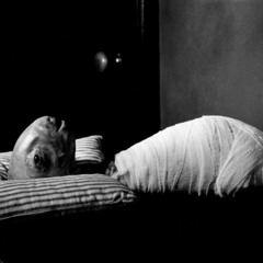 28 Barfdayz on tha wall