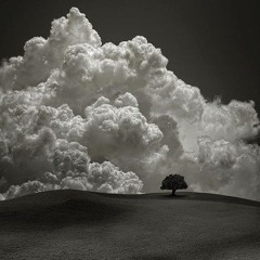 Jareem - Yume// Zetsubō (Dreams Despair) (Prod. oriJanus & Edo Lee)