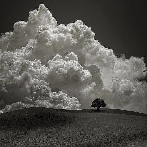 Jareem - Yume// Zetsubō (Dreams Despair) (Prod. oriJanus & Edo Lee)