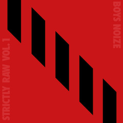 Boys Noize & Pilo - Cerebral (Damian Brix Remix)