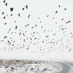 05 - CLNK - Optimal Time