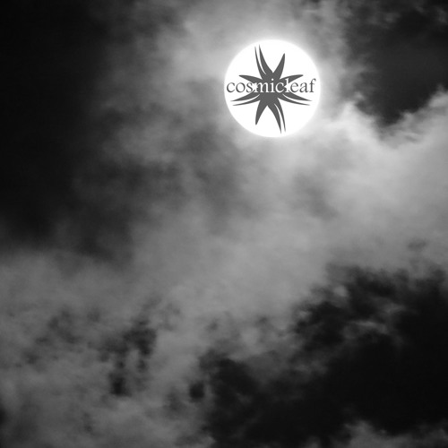 #20 Discovering Cosmicleaf  By Chlorophil