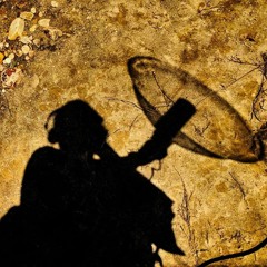 Field Recordings