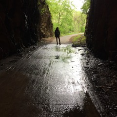 All My Friends Are Sleeping