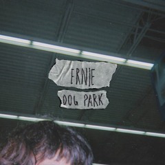 dog park