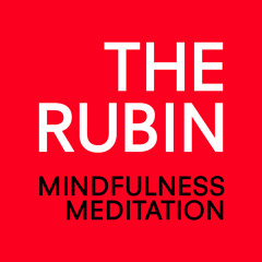 Mindfulness Meditation 8/5/15 with Jon Aaron