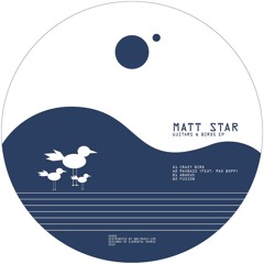 GUA 002 Matt Star- Guitars and Birds EP vinyl only 12" out soon on Gravitysurfer UA