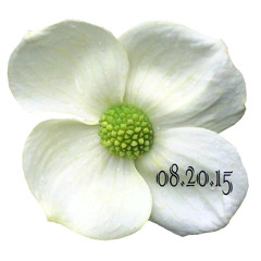 Mark Brody | Live DJ Set | The Dogwood Cocktail Cabin | Bend, OR  |  8.20.15