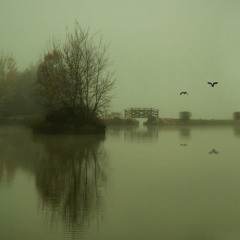 Electro-Mélancolie....synthèse du désespoir