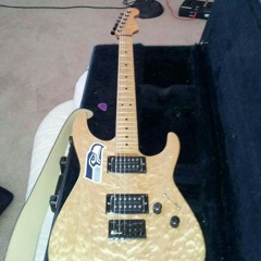 Destroyed My American Dream.mp3