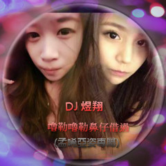 DJ煜翔 - 嚕勒嚕勒鼻仔借過 (孟唏亞姿專屬64Kbps低音質)
