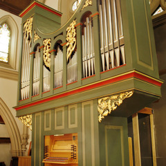 Oh, What Their Joy  (O Quanta Qualia)