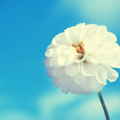 Inspiration 13-8