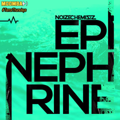 NoizeChemistz - Epinephrine (Original Mix)