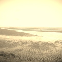 'No Surprises' Acoustic Rhythm Cover Vocal Sample Chorus.