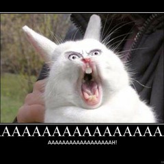 MOOOOAAAARRRR HAAARRRRRDDDDCCCCCOOOOORRREEEEE