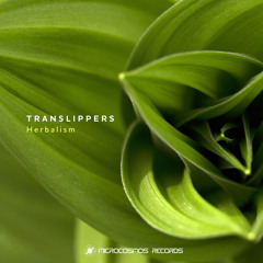 Translippers - Arambol Beach (Album Version)