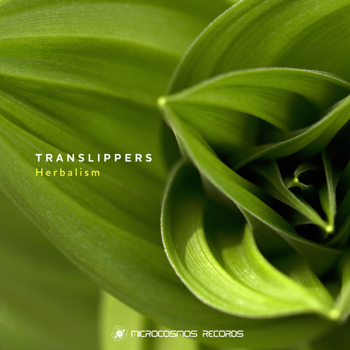 Translippers - Open Heart