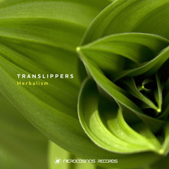 Translippers - Secret Path (Album Version)