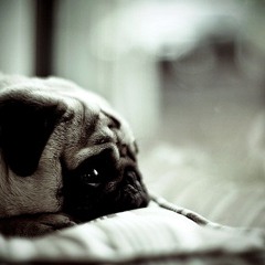 Lonely steps - DJ Pain 1 and Memory Unfinished Friday