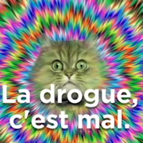 artworks-000127142305-cb244p-t500x500.jp