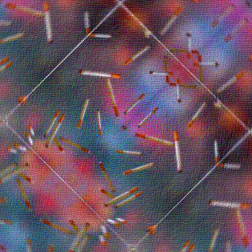 fisheye lense - mac demarco cover