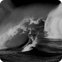 mandrágora, sueño marino