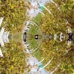 Westy Reflector / Benn DeMole - C Swellowed (disquiet0190)