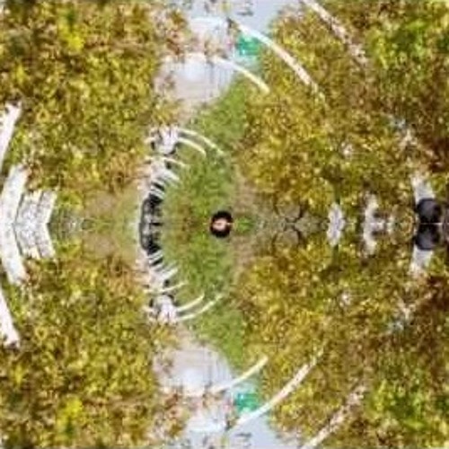 Westy Reflector / Benn DeMole - C Swellowed (disquiet0190)