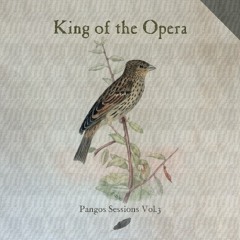 A Night Like This (The Cure Cover)