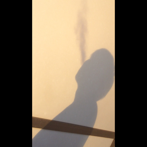 善意と欲望 Inst