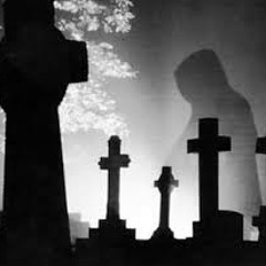 Mr Kenny White ˇˇ Ghost Shadow