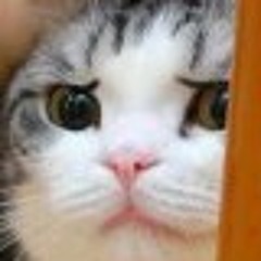 A Blossom Fell (cover)