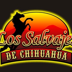 Los Salvajes De Chihuahua Yo Te Quiero Asi