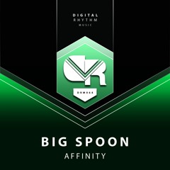 Big Spoon - Affinity (Original Mix)