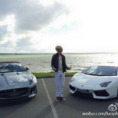 Laurence Larson - See You Again (Chinese Version)