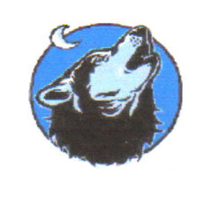 01 - Steve Wolf - Rottin Appel