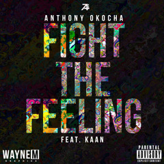 Fight The Feeling (Feat.KAAN)