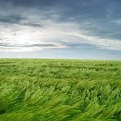 She' s Like  The Wind Beat(Prod.MC DaveID)